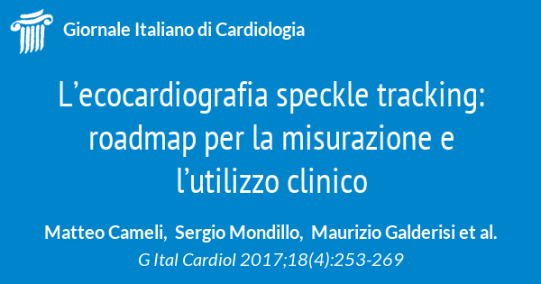 L'ecocardiografia speckle tracking: roadmap per la misurazione e l'utilizzo  clinico  Giornale Italiano di Cardiologia - Organo ufficiale di Italian  Federation of Cardiology e Società Italiana di Chirurgia Cardiaca